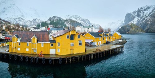 Panorama of Nusfjord authentic fishing village with yellow rorbu houses in Norwegian fjord in winter. Lofoten islands