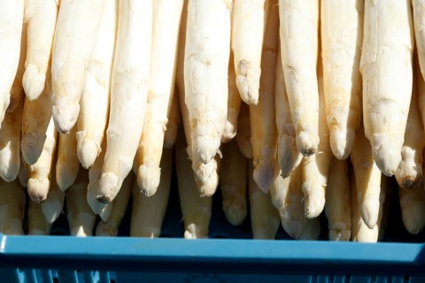 Frischer Spargel auf einem Marktstand