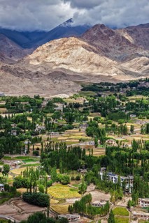 Aerial view of houses in Indus valley in Leh city in Ladakh