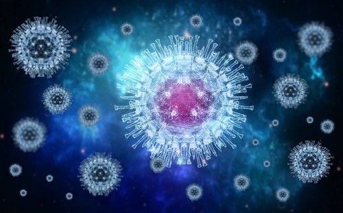 Monkeypox virus