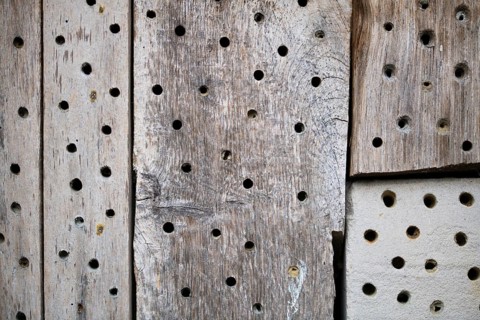 Insect nesting aid