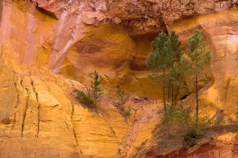 Ochre nature trail
