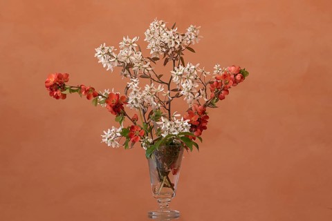 Spring bouquet with rock pear