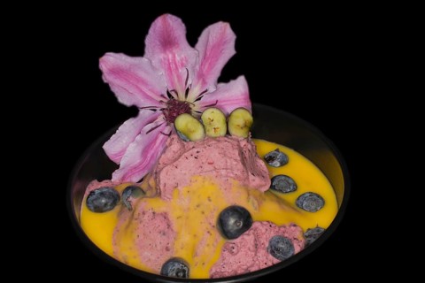 Ice cream of fresh european blueberry