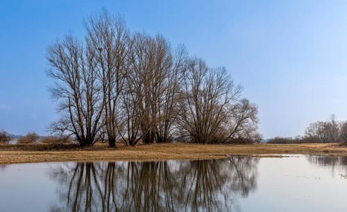 River landscape on the Elbe near Wittenberge