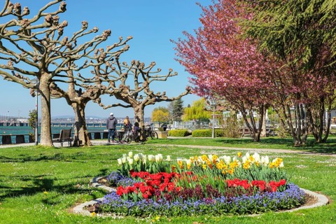Lakeside park in spring