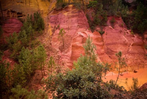 Ochre nature trail