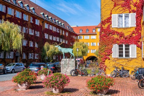 Yellow apartment buildings