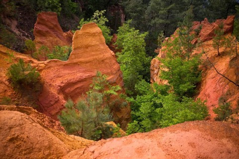 Ochre nature trail