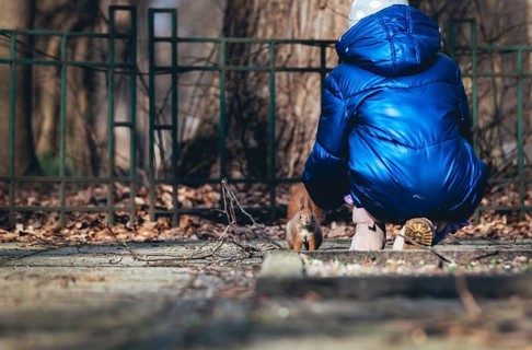 Girl feeds a squirrel