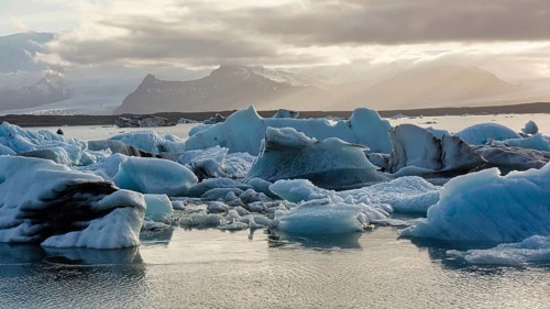 Icebergs in the bay of Yoekulsarlon