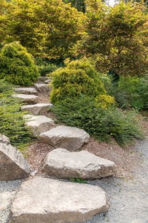 Beautiful garden setting with stepping stones