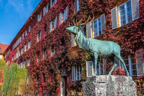Inner courtyard with deer statue and yellow residential buildings