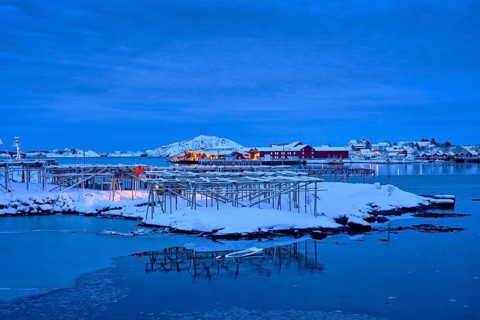 Drying flakes for stockfish cod fish in Reine village illuminated at night in winter. Lofoten islands