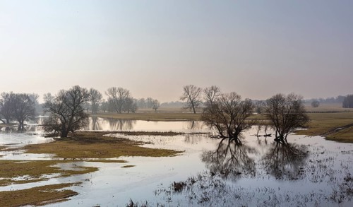 River landscape on the Elbe near Wittenberge