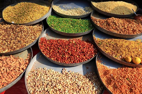 Rajasthan