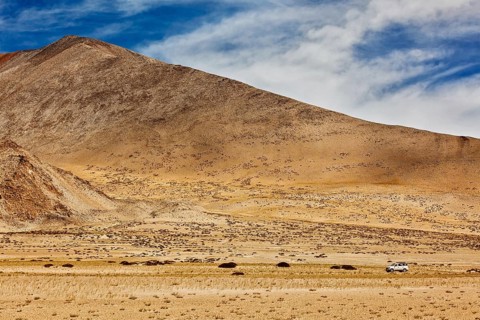 Car in Himalayas. Near Tso Kar lake