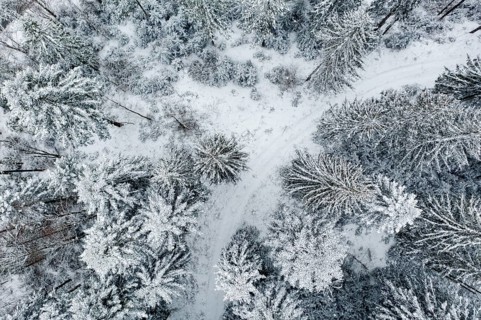Drone photo