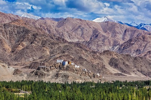 Thiksey gompa and Himalayas. Ladakh