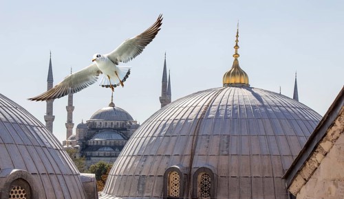 Hagia Sophia