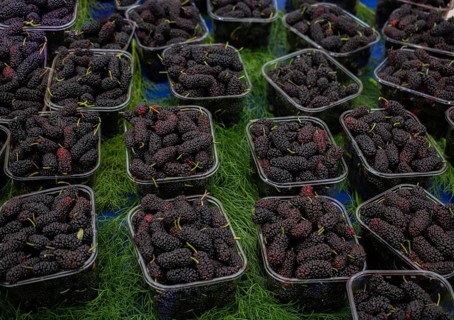 Black mulberries in plastic packages on sale in the view
