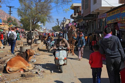 North India