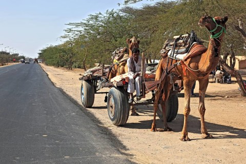 Rajasthan