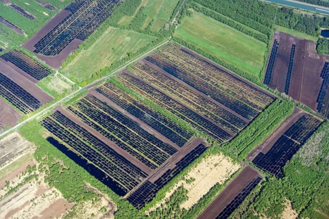 Aerial photographs of the Great Moor of north-western Germany