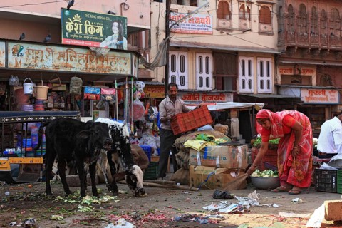 Street scene in the old town of Bikaner