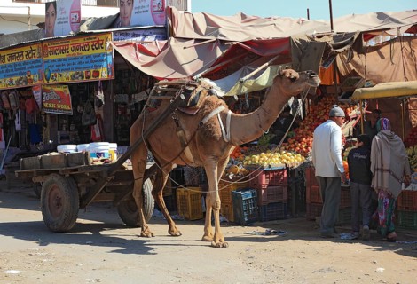 North India