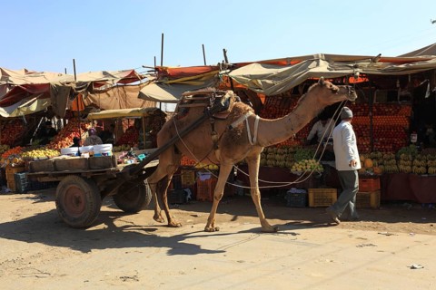North India