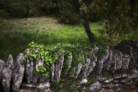 Typical wall of stacked stones