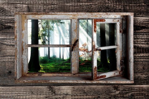 View through a rustic wooden window into the cloud forest