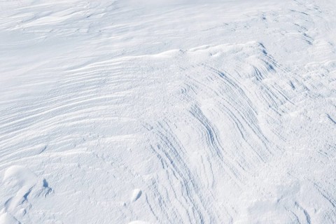 Snowdrift