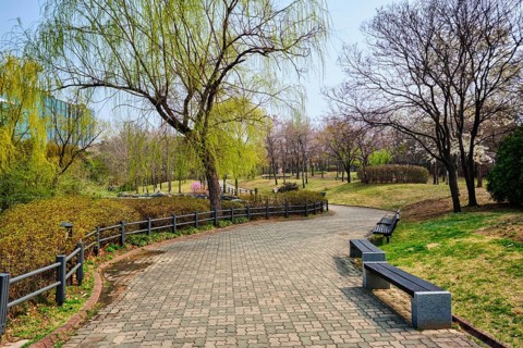 Path walk with benches in Yeouido Park public park in Seoul