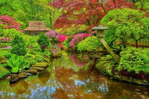 Little Japanese garden after rain in Park Clingendael