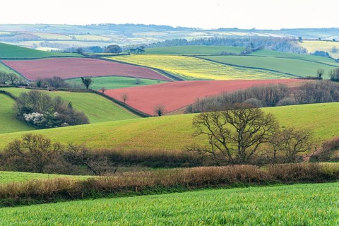 Fields and Meadows over English Village