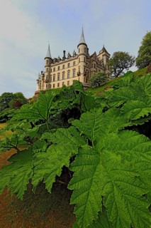 Highlands