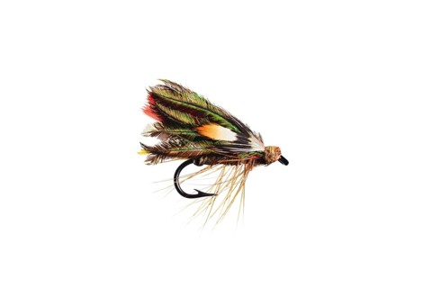 Fishing Fly isolated