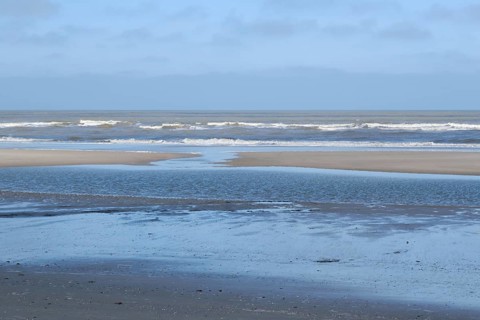 Priele und Wellen an der Nordseekueste