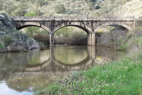 Roemische Bruecke im Monfrague Nationalpark