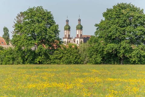 Ebersmunster Abbey in spring in central Alsace. Ebersmunter