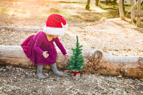 Cute mixed-race young baby girl having fun with santa hat and christmas tree outdoors on log