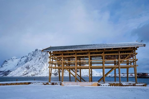 Drying flakes for stockfish cod fish in winter. Sakrisoy fishing village