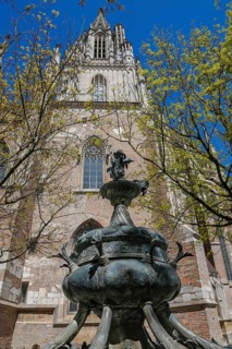 Dolphin fountain on Muensterplatz by Wolfgang Neithard