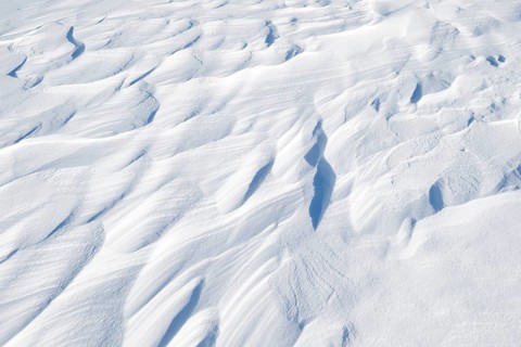 Snowdrift