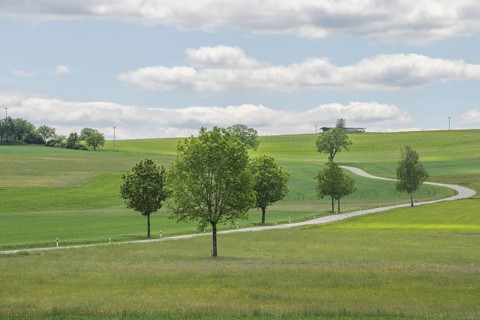 Nature reserve of Rotenbach meadows in High Black Forest. Friedenweiler