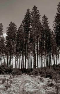 Sepia-coloured