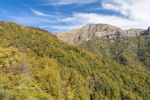 Autumn in the Ligurian Alps near Imperia