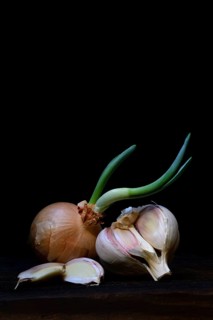 Sprouting common onion
